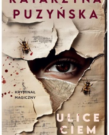 Ulice ciem - Katarzyna Puzyńska