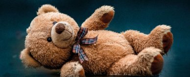 Konkurent - Diana Brzezińska