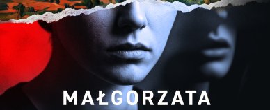 Po drugiej stronie prawa - Małgorzata Rogala